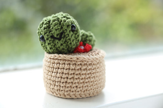 Mini Cactus with Red Flower