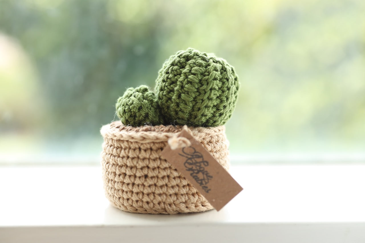 Mini Cactus with Red Flower