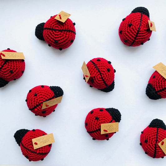 Lady Bug