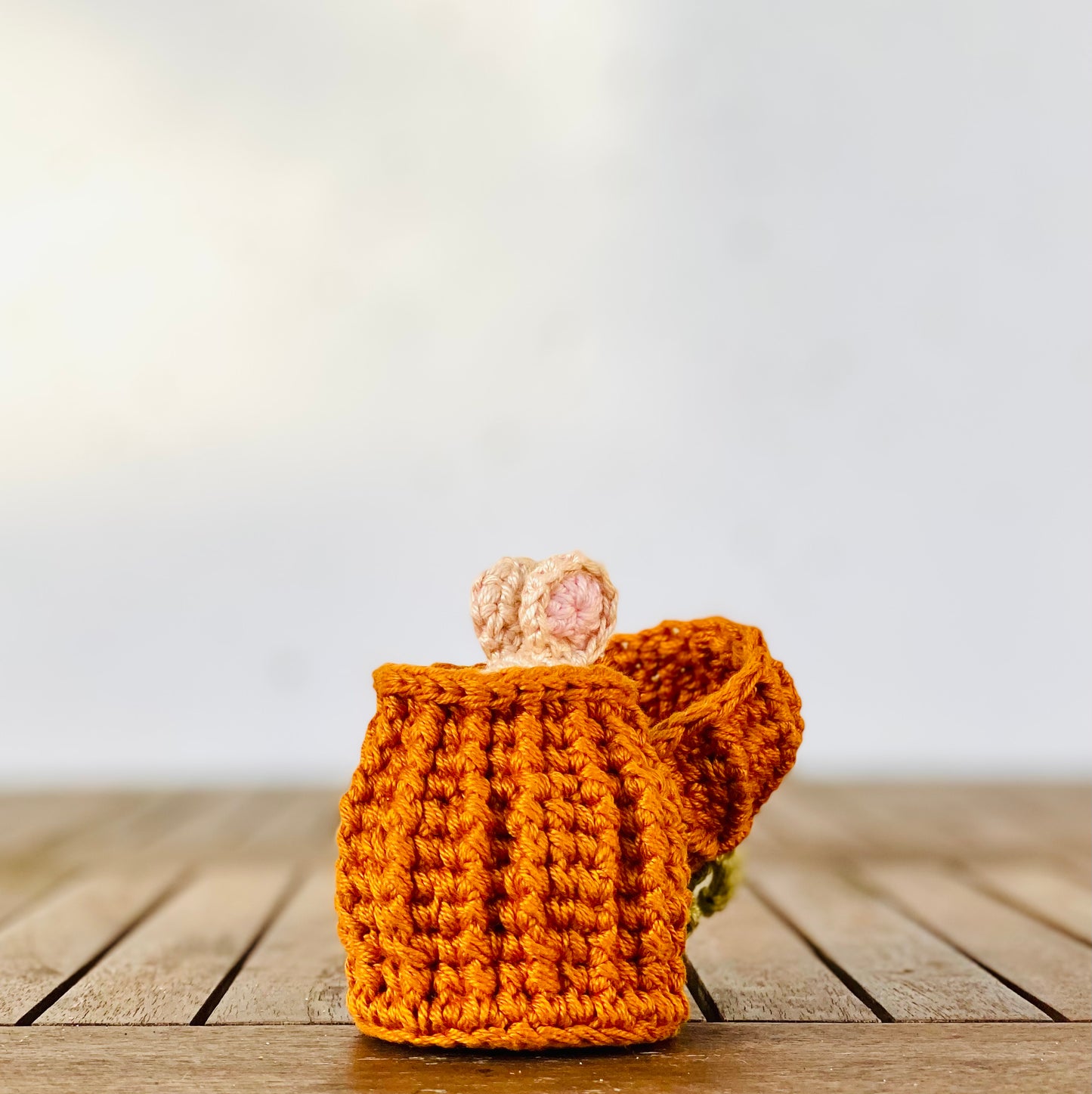 Mini Mouse in Pumpkin