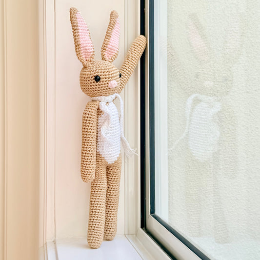 Brown Rabbit Family