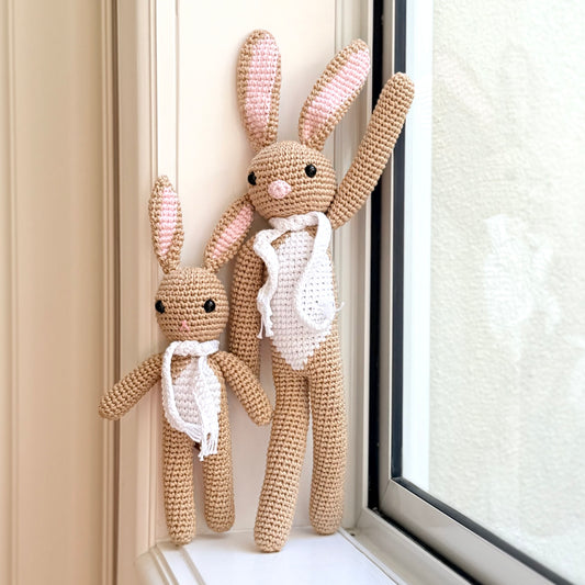Brown Rabbit Family