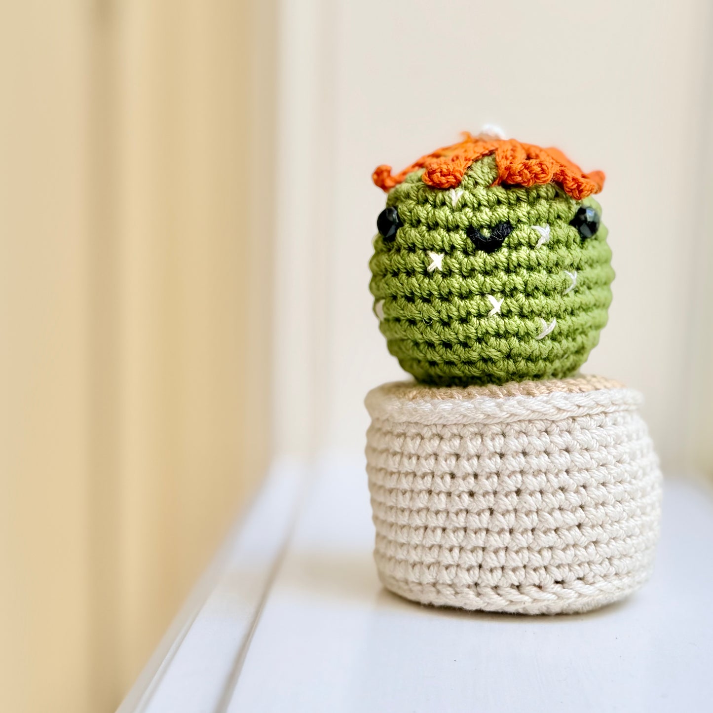 Daisy Cactus