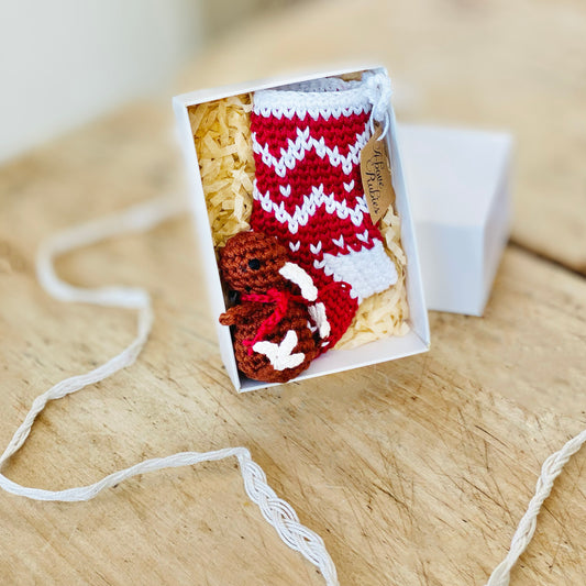 Mini Kiwi in Stocking