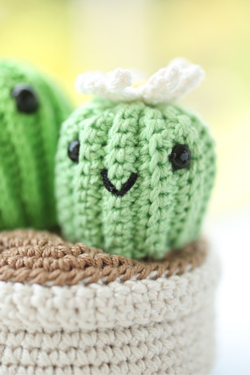 Cactus Couple