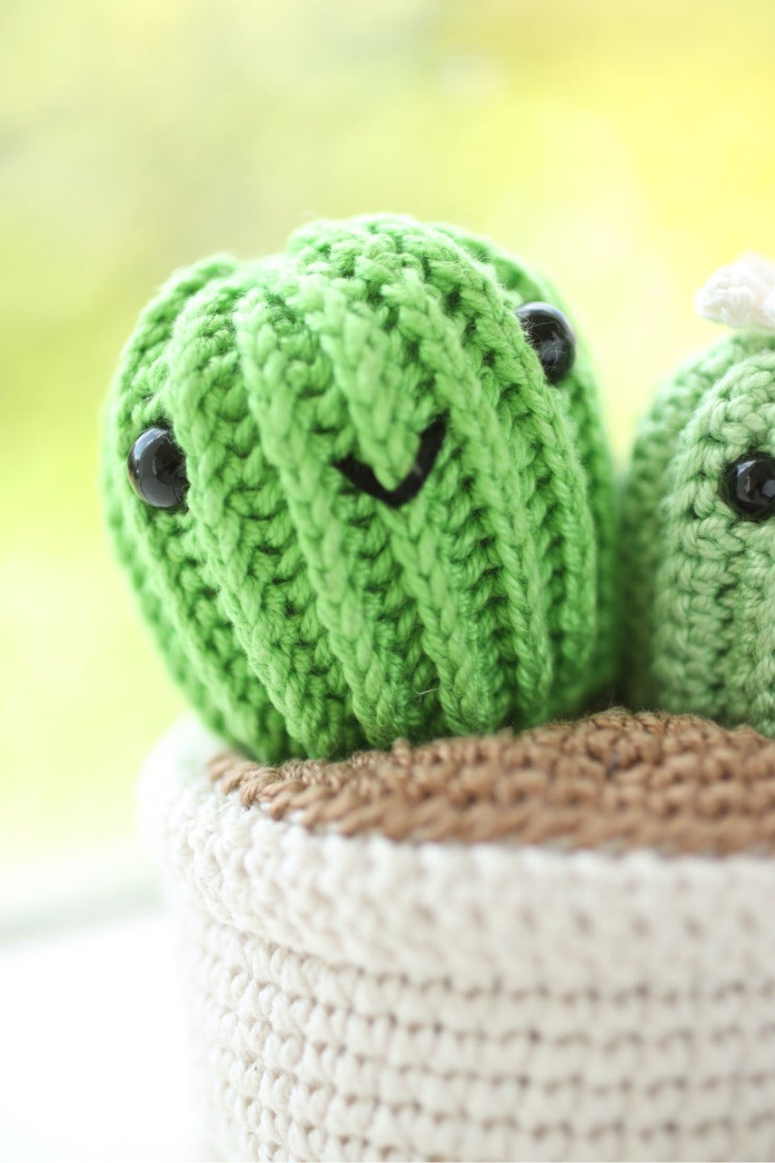 Cactus Couple