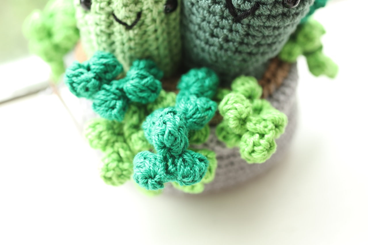 Succulent Pot with flowers