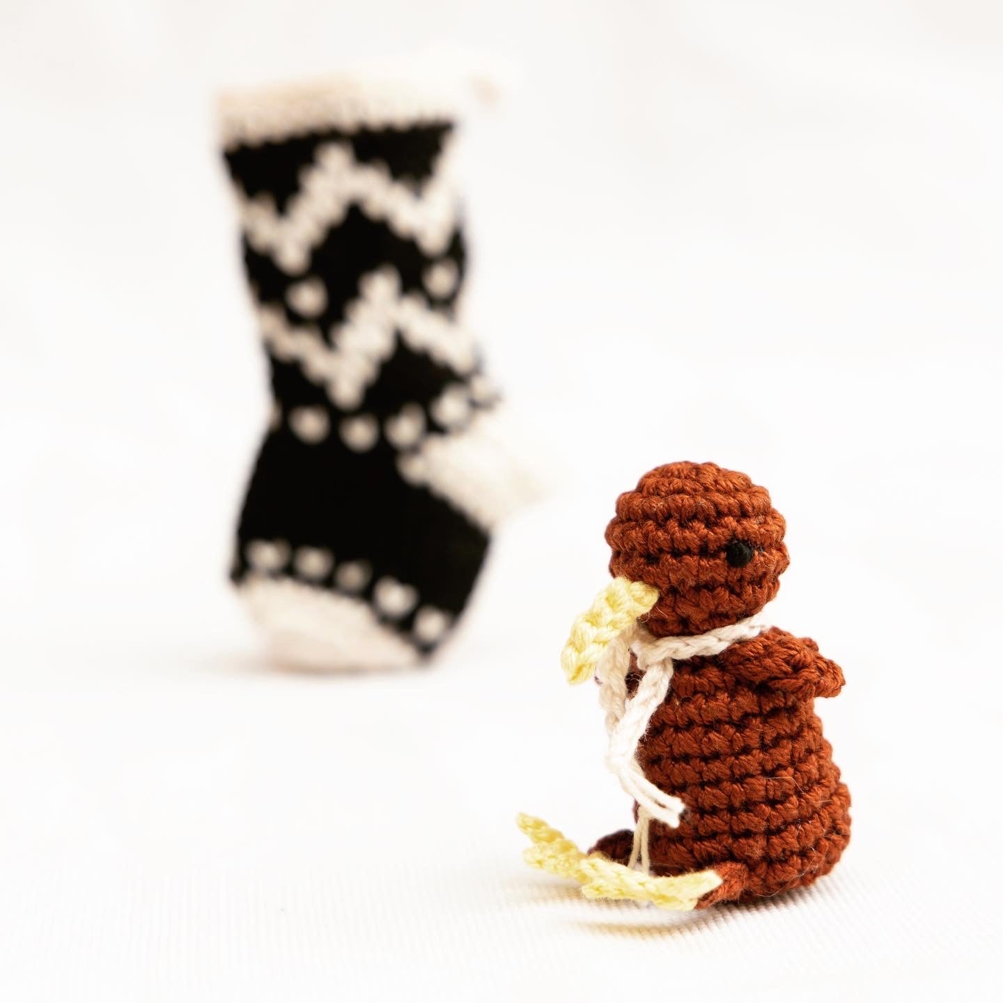 Mini Kiwi in Stocking