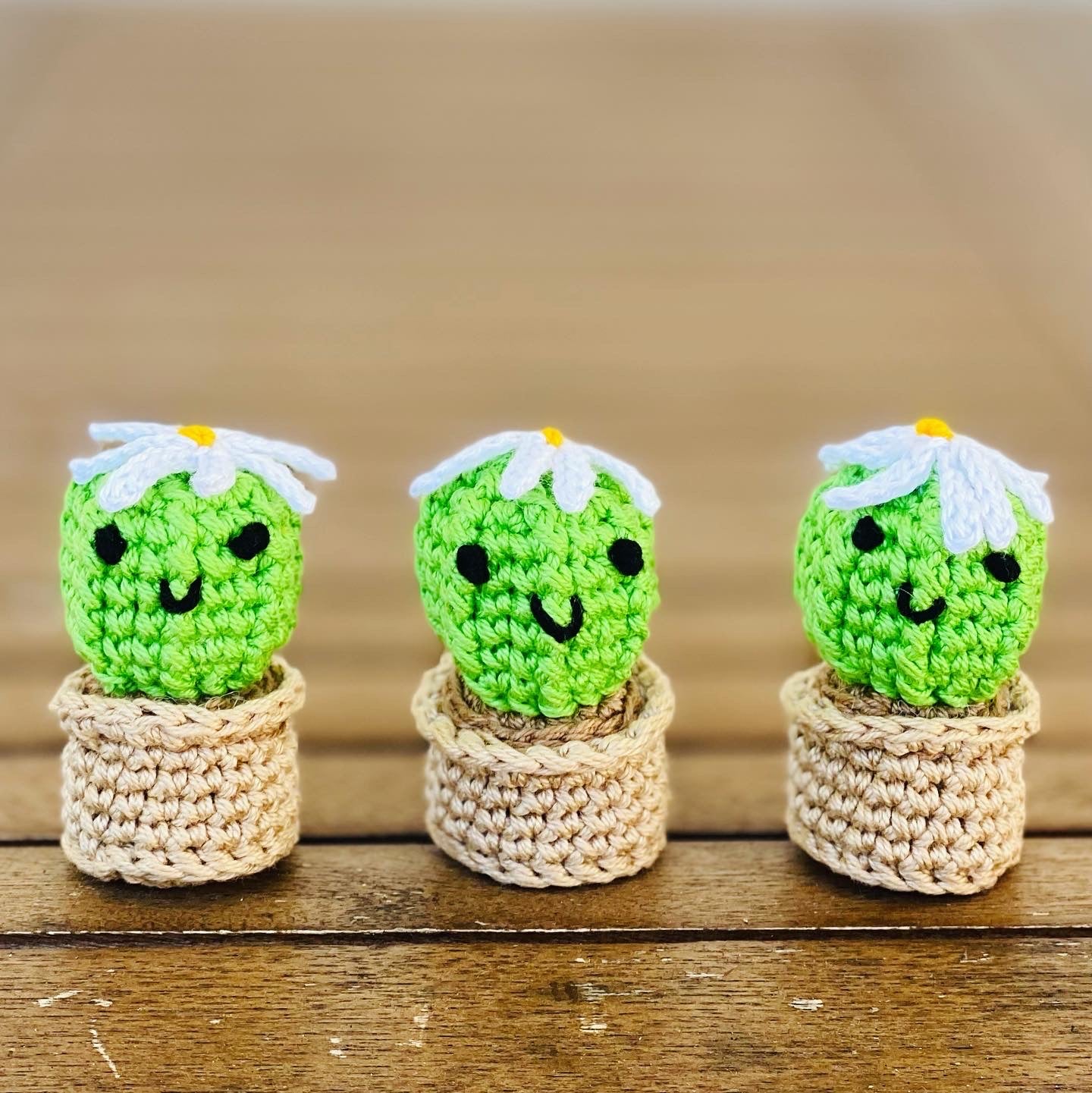 Cactus Keychain