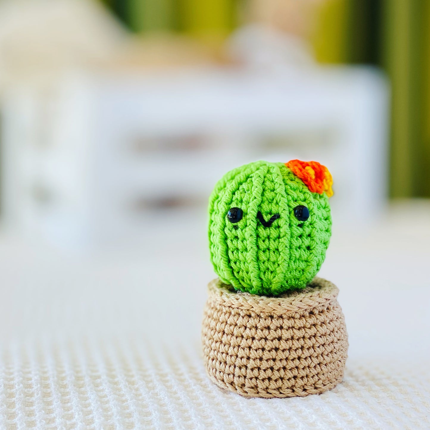 Mini Cactus