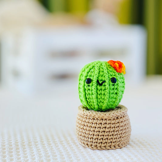 Mini Cactus