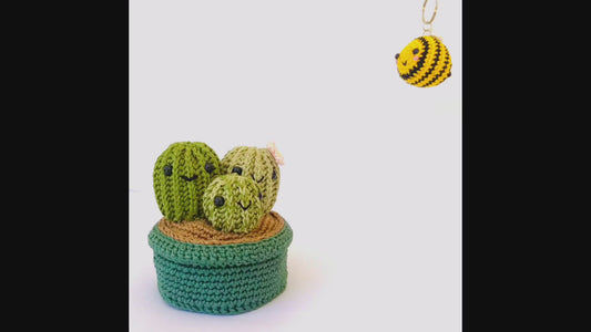 Cactus Family