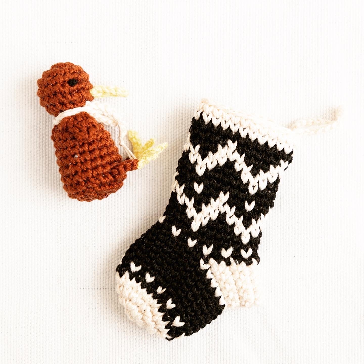 Mini Kiwi in Stocking