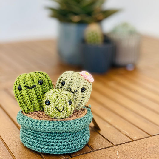 Cactus Family
