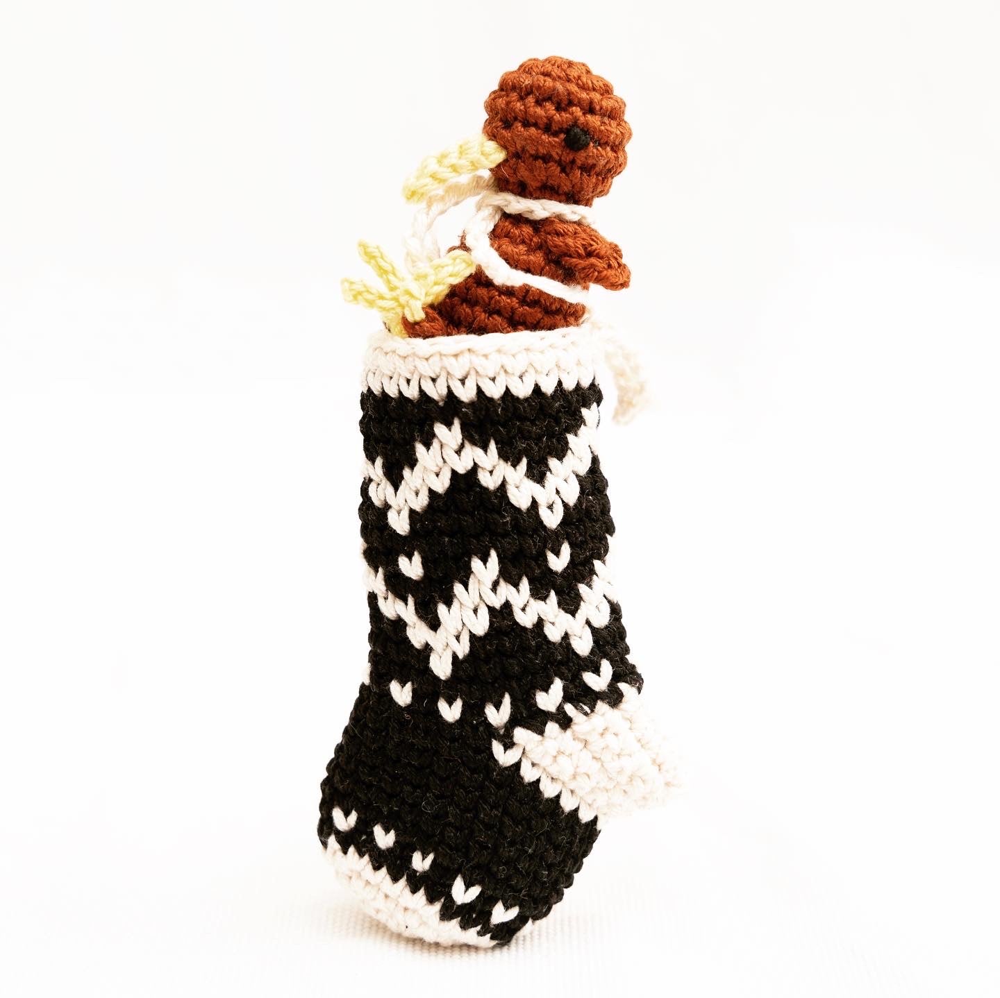 Mini Kiwi in Stocking