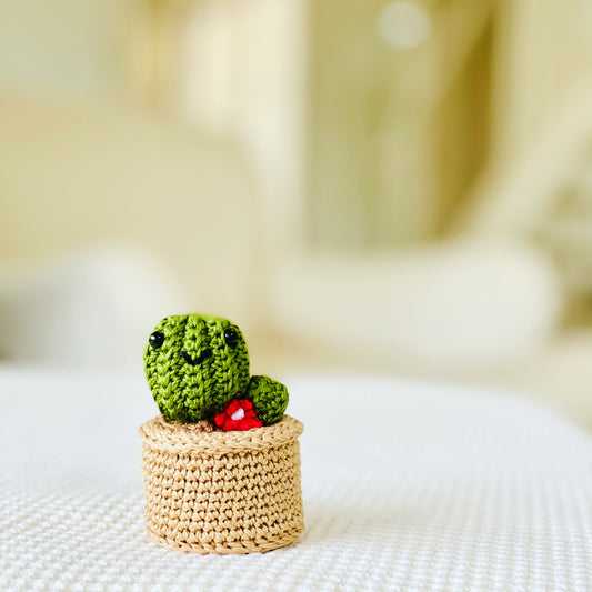 Mini Cactus with Red Flower