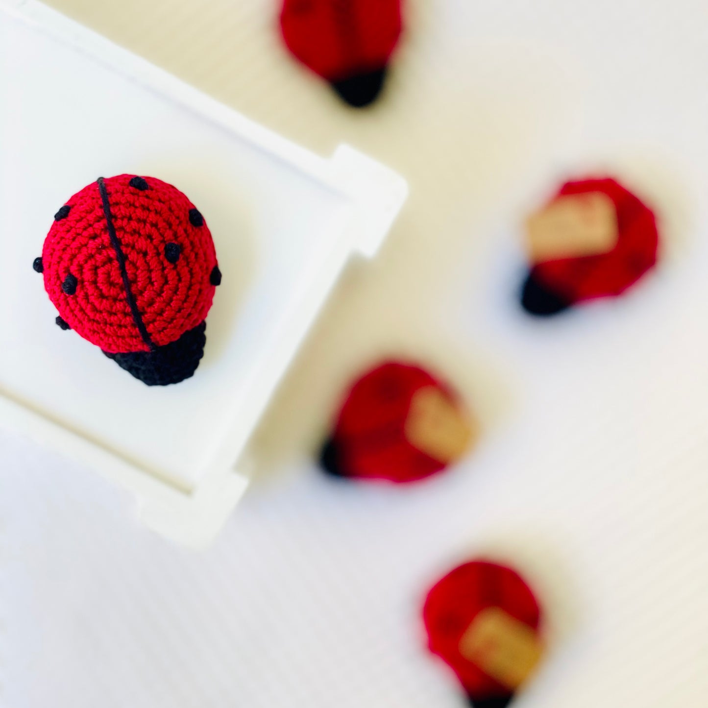 Lady Bug