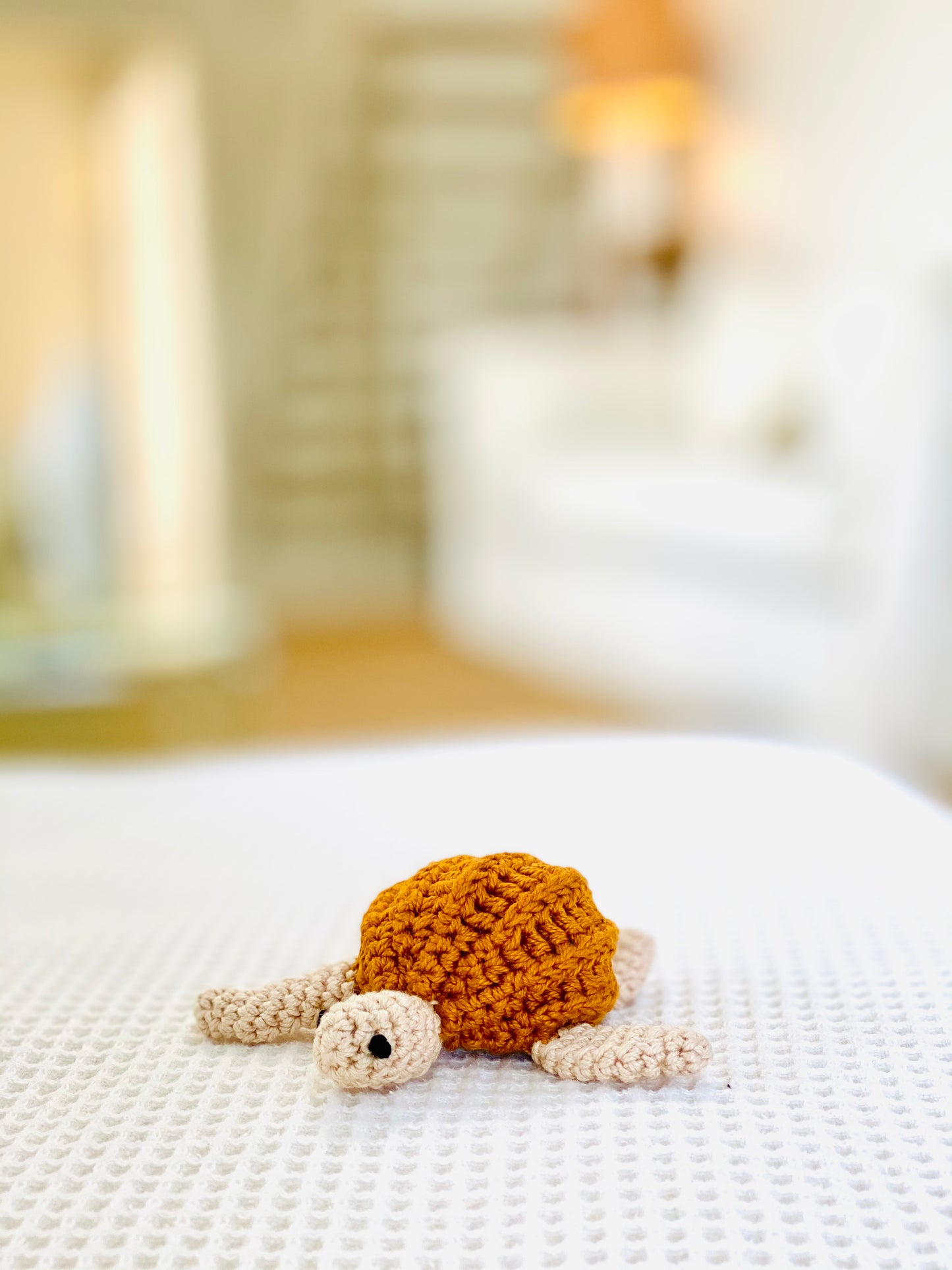 Mini Turtle Rattle
