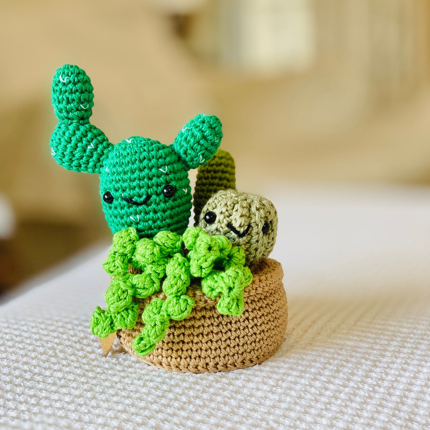 Succulent Pot