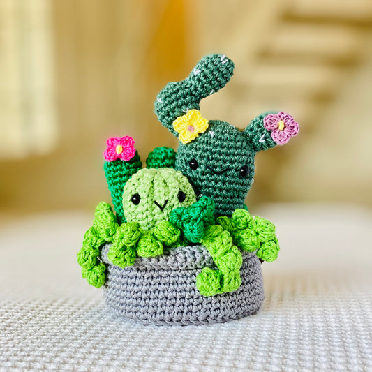 Succulent Pot with flowers