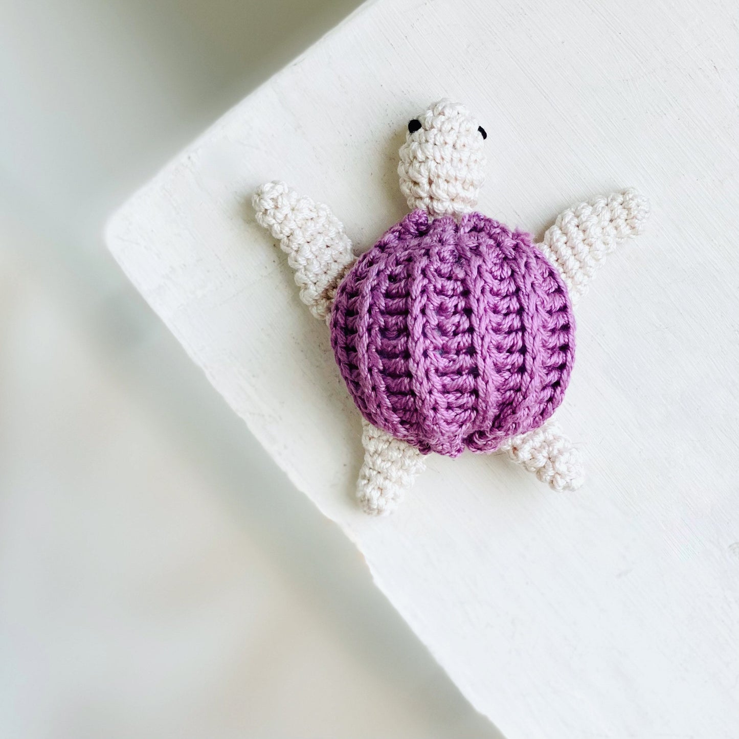 Mini Turtle Rattle
